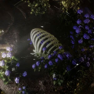 相机歌词 - 加木