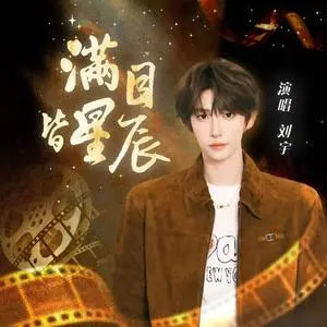 满目皆星辰歌词 - 刘宇