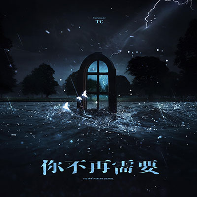 你不再需要歌词 - TC