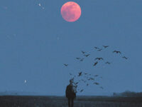 三两句(关于错过还是继续)歌词 - 余翊 / 烟火客