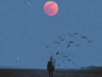 三两句（关于错过还是继续）歌词 - 余翊 / 烟火客