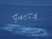 可惜你不懂歌词 - 王琪玮