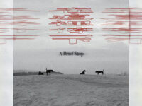 在这里停一下歌词 - deca joins