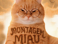 Montagem Miau(喵咪)歌词 - Lenar