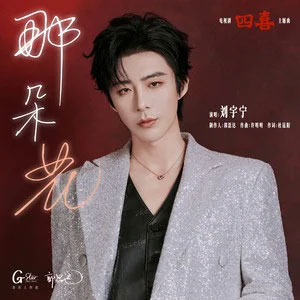 那朵花 (《四喜》电视剧主题曲)歌词 - 刘宇宁