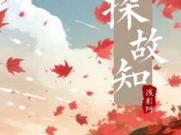 探故知歌词 - 浅影阿/汐音社