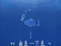 我是一只鱼歌词 - 梓渝