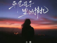 平凡日子里的挣扎(小璐版)歌词 - 小璐