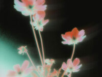 nobody (make me feel)歌词 - oskar med k / Khalid