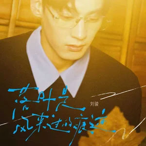 落叶是风来过的痕迹歌词 - 刘骏