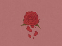 洒水车歌词 - 柳爽