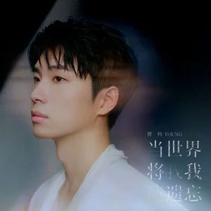 当世界将我遗忘歌词 - 曹杨
