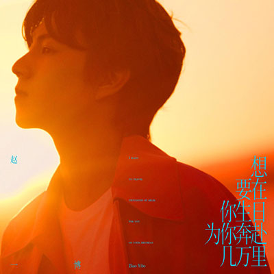 想要在你生日为你奔赴几万里歌词 - 赵一博