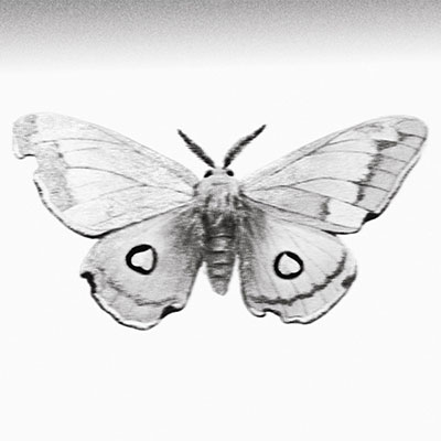 冬蛾 (feat.早安)歌词 - 李昊 / 早安