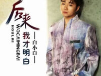 后来我才明白（有些人已不在）歌词 - 白小白