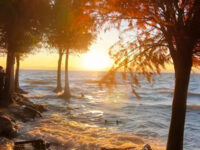 我不是流言不能猜测你(爱久见人心男版)歌词 - 余翊