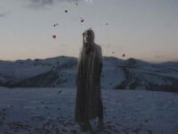 Flowers歌词 - 王栎鑫