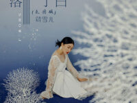 落了白（氛围版）歌词 - 蒋雪儿Snow.J