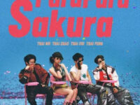 Para Para Sakura歌词 - 虞书欣/何与/Mike Angelo (吴翊歌)/尹浩宇Patrick