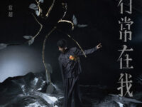 风月无瑕歌词 - 李常超 (Lao乾妈)