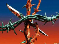 烂花歌词 - 王赫野