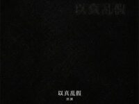 以真乱假歌词 - 洪浏