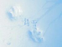 踏雪歌词 - 早安