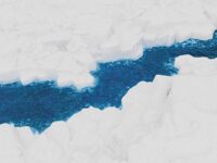 一半一半歌词 - Top Barry / INDEcompany