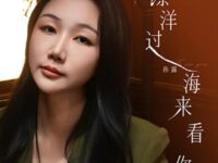 飘洋过海来看你歌词 - 孙露