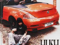 Why Not ft.卡力老虎&JesseMargiela(Prod.REDBOI)歌词 - Saber / 卡力老虎 / JesseMargiela