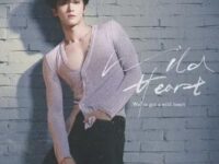 Wild Heart歌词 - 闫桉