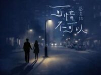 可惜不可以歌词 - 蔡旻佑