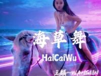 海草舞 (元气版)歌词 - 王麟