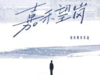 嘉禾望岗歌词 - 海来阿木