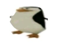 甜嗓耀星(那我们三年级又算什么呢)歌词 - 厌忆