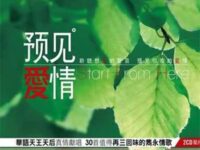 爱错歌词 - 王力宏