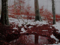 you were my life (你曾是我的一切)歌词 - Seto