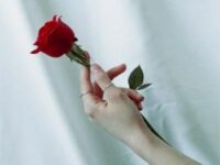 Take me hand(牵住我的手) - Zy