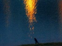 我时常忘记来自哪里歌词 - 软柿子乐队(Soft Persimmon)