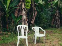 DtMF(我应该多拍些照片)歌词 - Bad Bunny