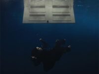 WILDFLOWER歌词 - Billie Eilish