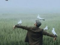 你太好骗(撕裂版)歌词 - 大头针