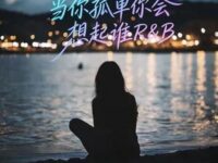 当你孤单你会想起谁（天总会黑）歌词 - 卷笔刀小卷 /卷笔刀的卷