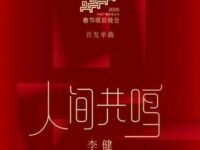 人间共鸣歌词 - 李健