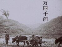 八万四千问歌词 - 任安琪