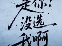 是你没选我啊(撕裂版)歌词 - 明小媛