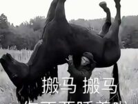 雷霆音乐 - KRSHK / 阿吉野马