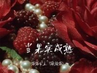 当果实成熟歌词 - 菲菲公主（陆绮菲）