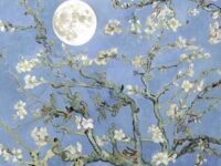 moonboy歌词 - JVKE/全昭弥 (JEON SOMI)