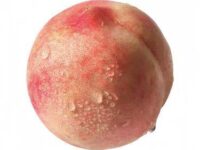 Peach歌词 - Submerge沦陷